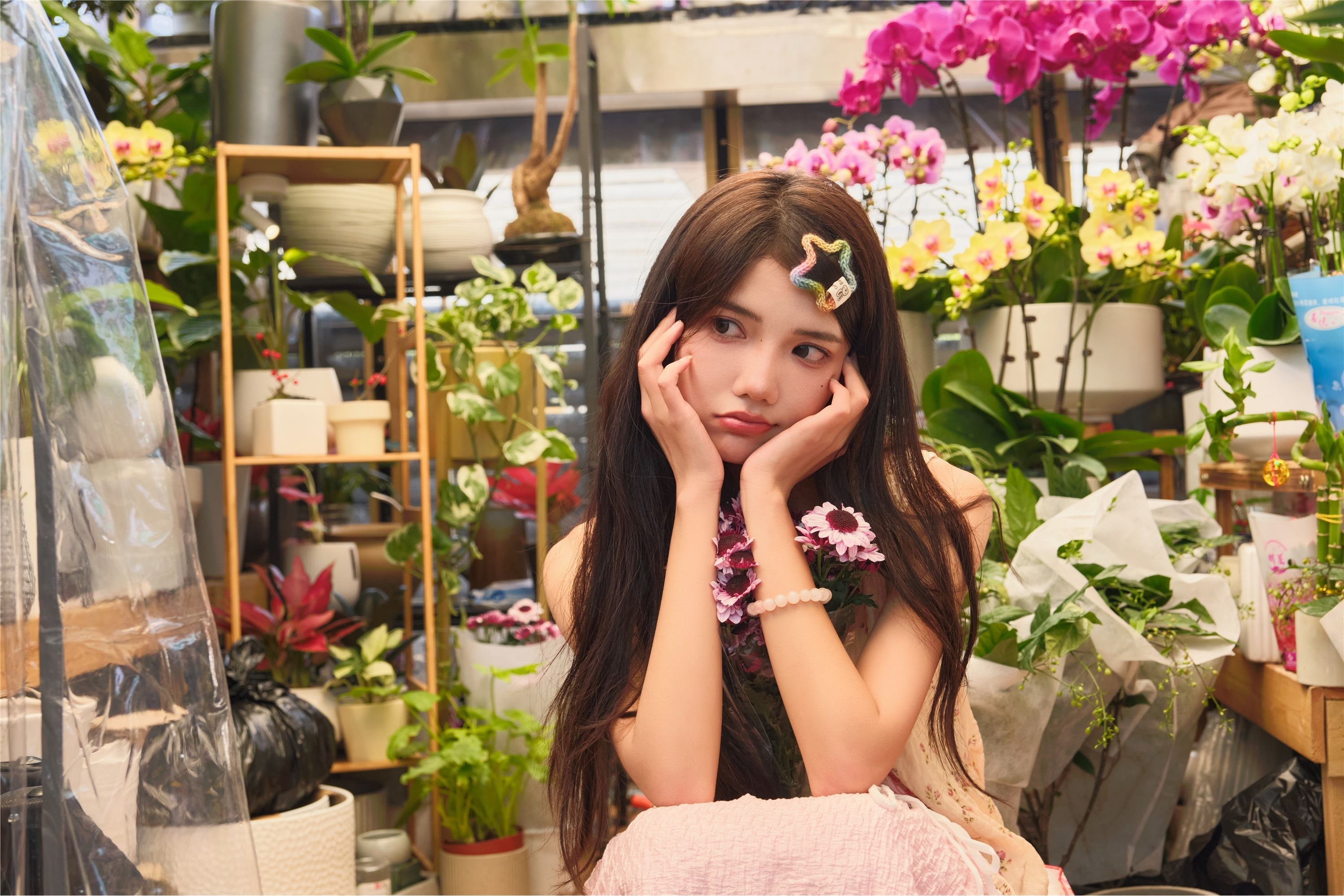 YITUYU艺图语 2025.01.12 花期正好 多米Domy